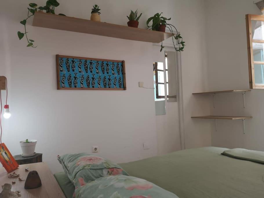 Appartamento Old House Tarrafal  Esterno foto